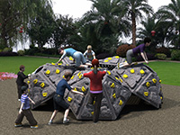 Fake Rock Climber Playground Outdoor